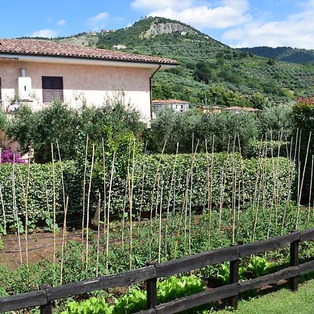 Locanda Pinocchio Hotell Rocca Massima Eksteriør bilde